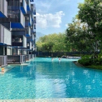 1 Bedroom Foreign Freehold Condo for Sale in The Deck Patong, Phuket