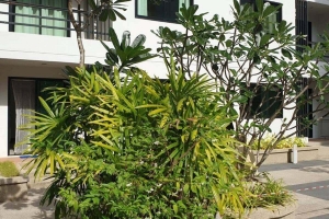 Ratchaporn Place Condominium  Kathu,, Phuket  Thailand