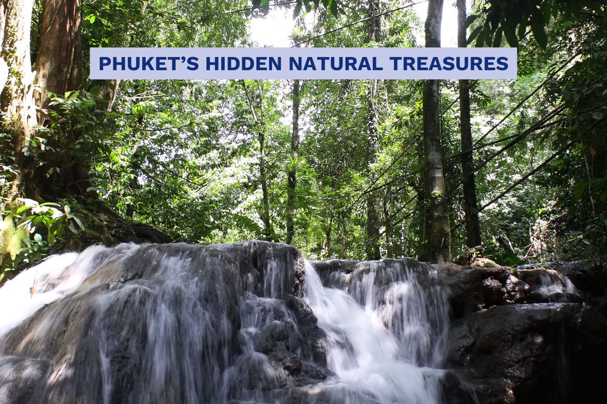 A lush tropical forest in Phuket with a small cascading waterfall surrounded by dense green foliage and sunlight filtering through the trees. A banner across the top reads “Phuket’s Hidden Natural Treasures.