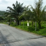 Half Rai (804 sqm) Land for Sale by Owner in Rawai, Phuket
