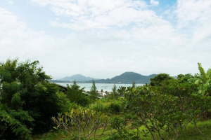Rawai,, Phuket  Thailand