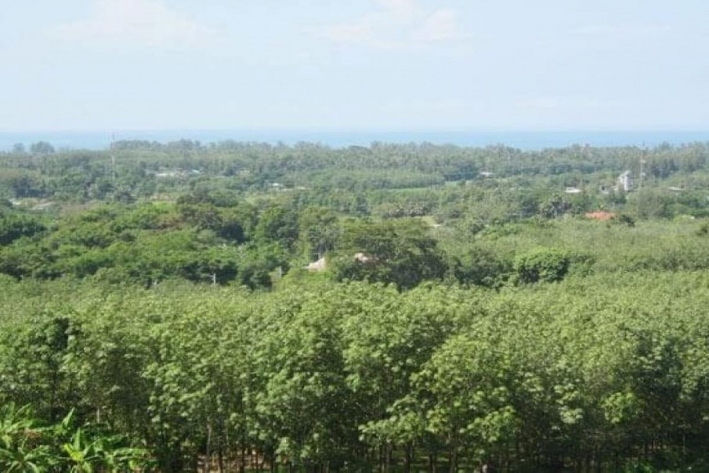 普吉岛迈考可出售6个Rai或9988平方米的海景地
