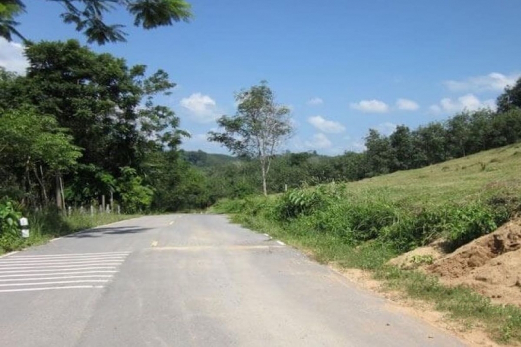 Mai Khao,, Phuket  Thailand