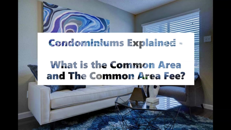 Common Fees Explained