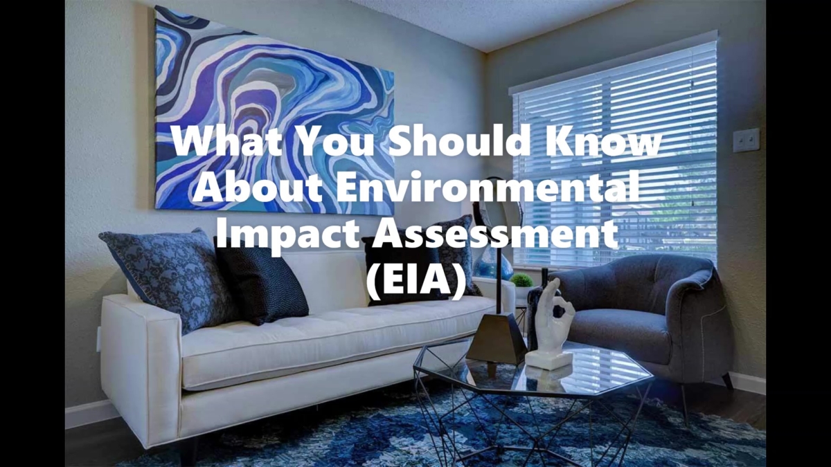 All About EIA