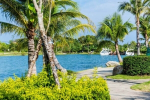 Chalong,, Phuket  Thailand
