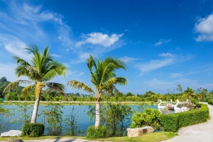 Chalong,, Phuket  Thailand