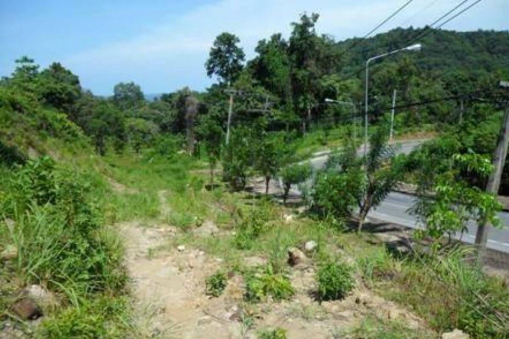 Patong,, 普吉岛 泰国