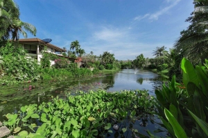 Surin Springs Estate  Surin,, Phuket  Thailand
