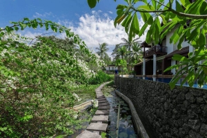 Surin Springs Estate  Surin,, Phuket  Thailand