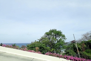 The Plantation  Kamala,, Phuket  Thailand
