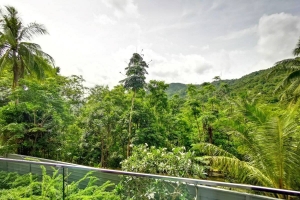 The Panora  Surin,, Phuket  Thailand