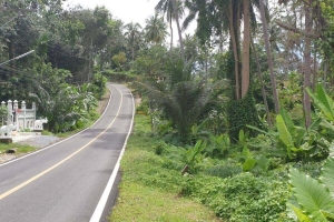 Kata,, Phuket  Thailand