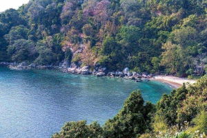 Samsara  Kamala,, Phuket  Thailand