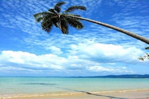Khao Lak,, Phang Nga  Thailand