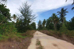 Khao Lak,, Phang Nga  Thailand