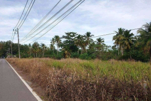 Khao Lak,, Phang Nga  Thailand
