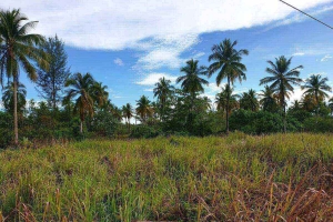 Khao Lak,, Phang Nga  Thailand
