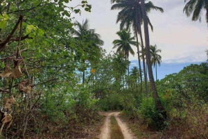 Khao Lak,, Phang Nga  Thailand