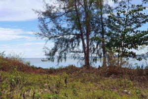 Khao Lak,, Phang Nga  Thailand