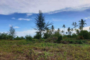 Khao Lak,, Phang Nga  Thailand