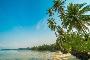 Khao Lak,, Phang Nga  Thailand