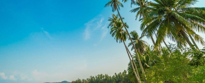 245.55 Rai Beachfront Land for Sale in Khao Lak, Phang Nga