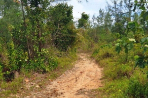 Khao Lak,, Phang Nga  Thailand