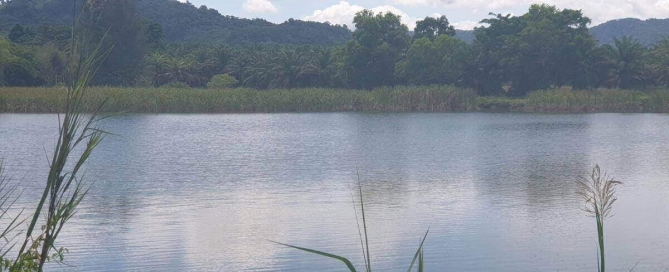 36 Rai Land For Sale Close to Beach Khao Lak, Phang Nga