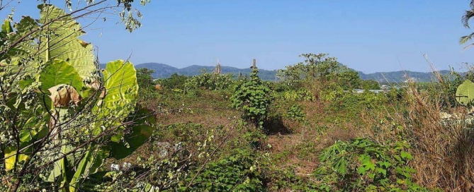 1 Rai (1,600 sqm) Plot for Sale in Pasak Soi 8 in Cherng Talay, Phuket