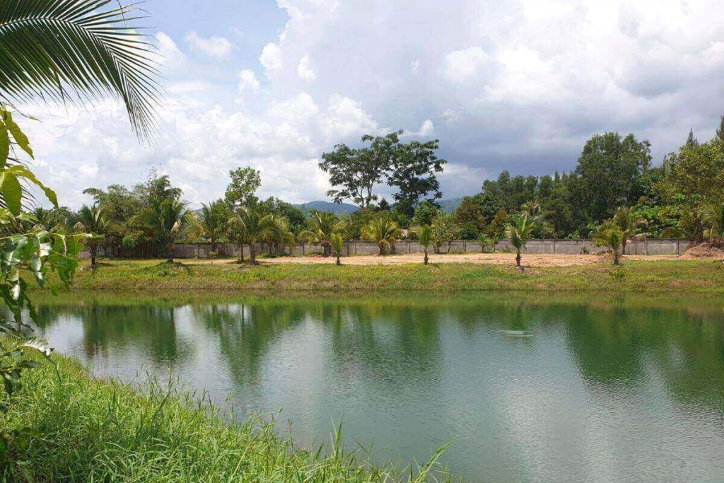 Thalang, Phuket Thailand