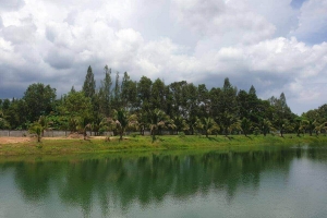 Thalang,, Phuket  Thailand
