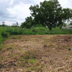 620 sqm or 155 square wah Land for Sale by Owner near Rawai Beach, Phuket