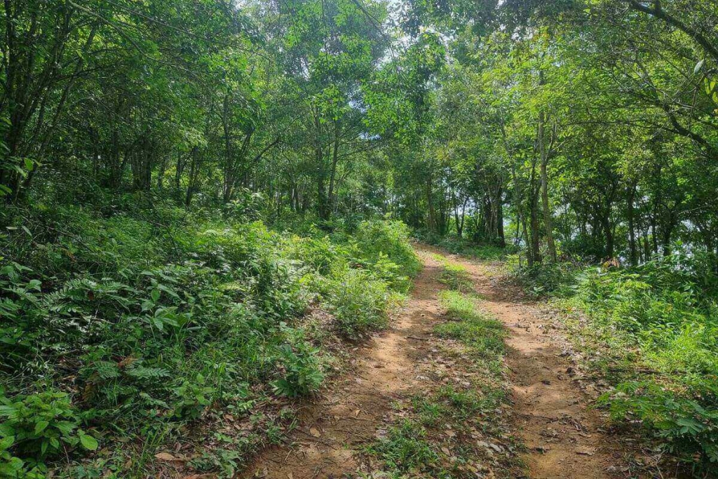 Cherng Talay, Phuket Thailand