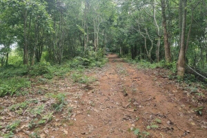 Cherng Talay,, Phuket  Thailand