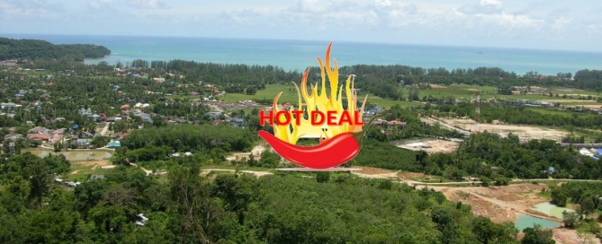6 Rai 55 Square Wah (9,820 sqm) Land for Sale with Distant Sea Views in Cherng Talay, Phuket