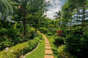 Ayara  Surin,, Phuket  Thailand
