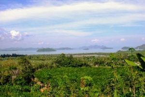 Thalang,, Phuket  Thailand