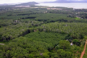 Thalang,, Phuket  Thailand