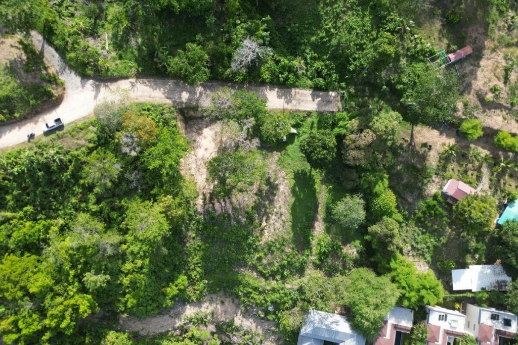 查龙,, 普吉岛 泰国