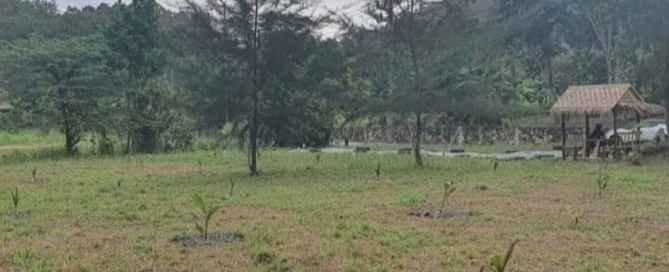 1 Rai 343 Sqw (2,972 Sqm) Land for Sale by Owner near Nai Thon Beach, Phuket