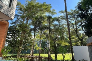 Kathu,, Phuket  THailand