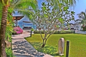 Bang Tao,, Phuket  Thailand