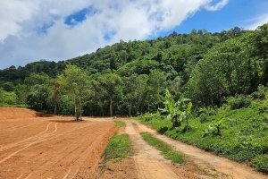 Chalong,, Phuket  Thailand