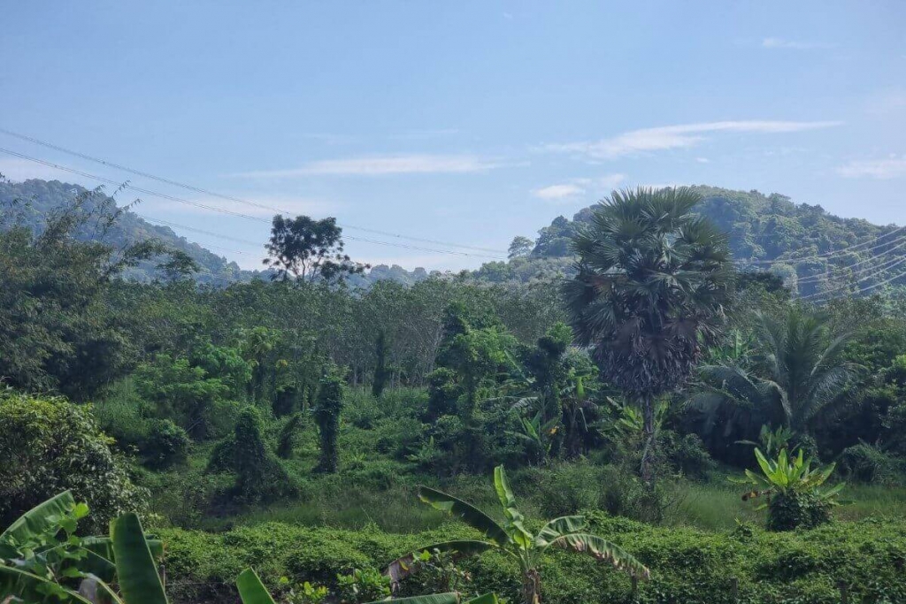 Thalang, Phuket Thailand