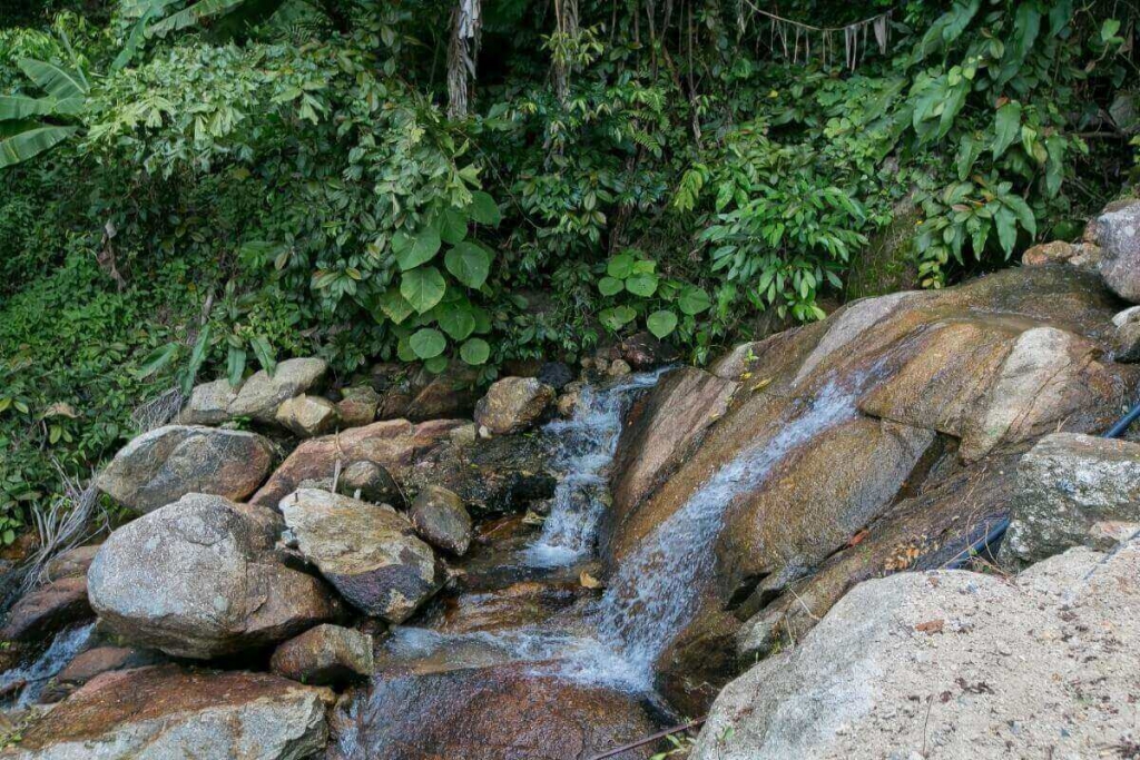 Kamala,, Phuket  Thailand