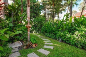 Bang Tao,, Phuket  THailand