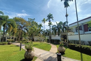 Bang Tao,, Phuket  Thailand