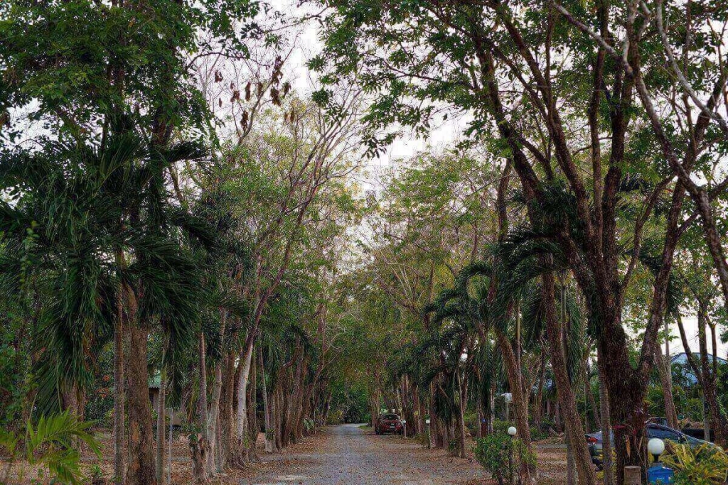 Rawai,, Phuket  Thailand