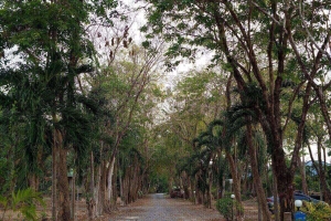 Rawai,, Phuket  Thailand